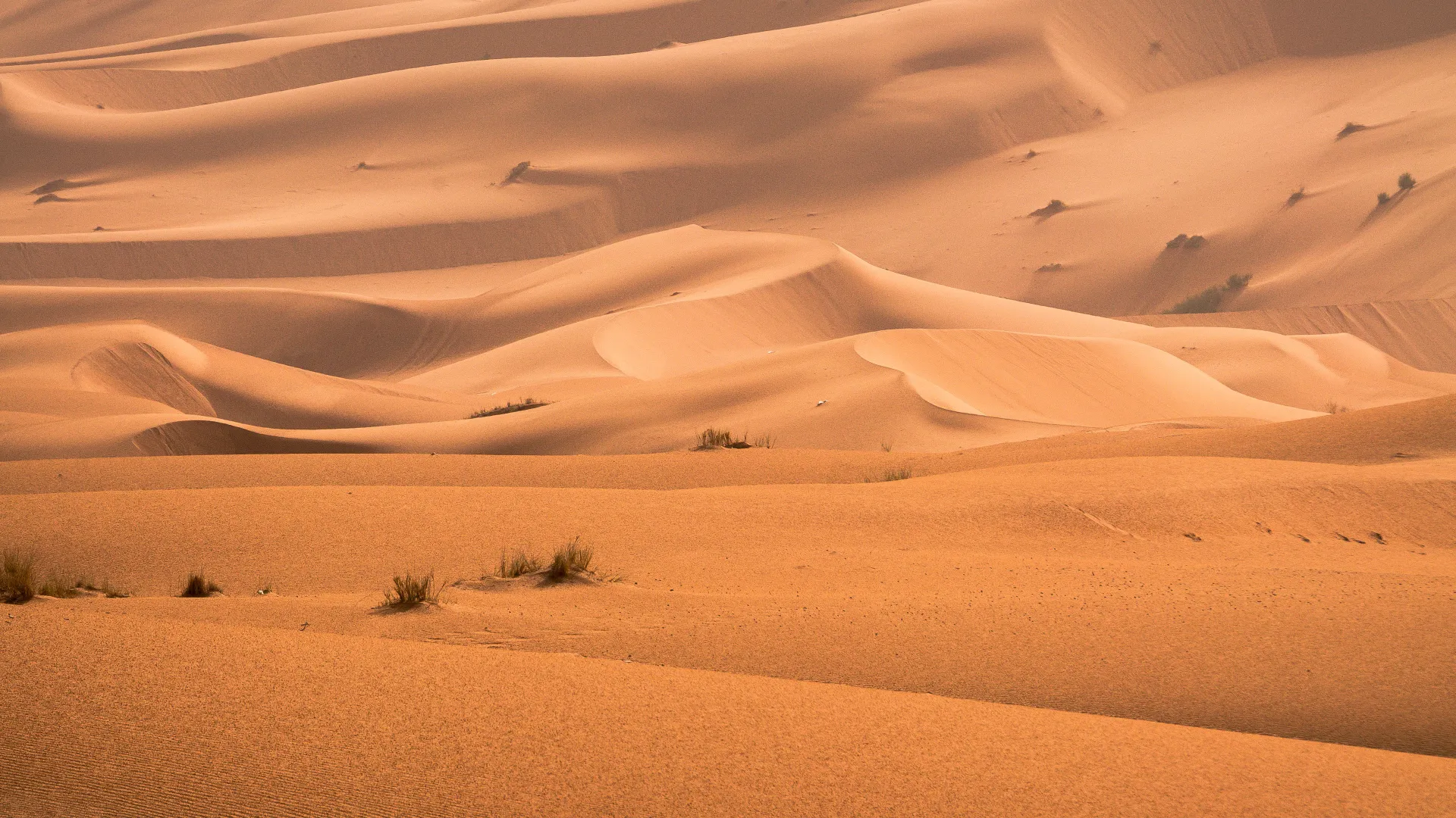 Best time to visit morocco