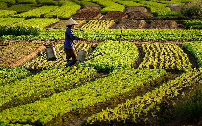 Vietnam FAQs