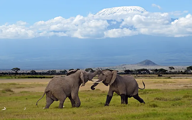 Africa The Best Destinations