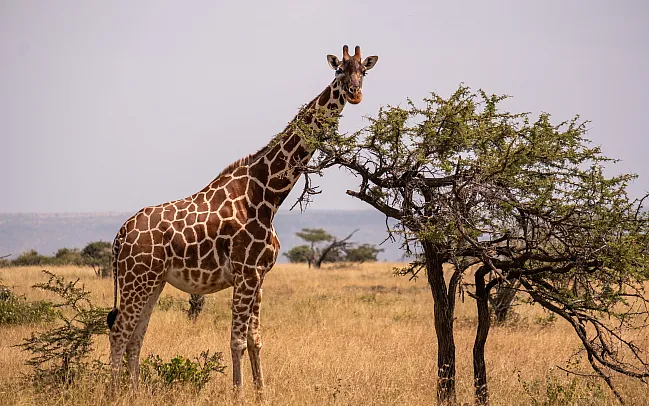 Africa The Best Destinations