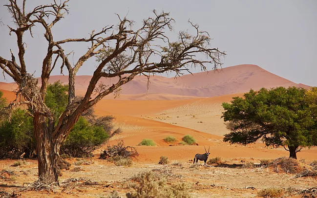 Recommendations for your first trip to Africa