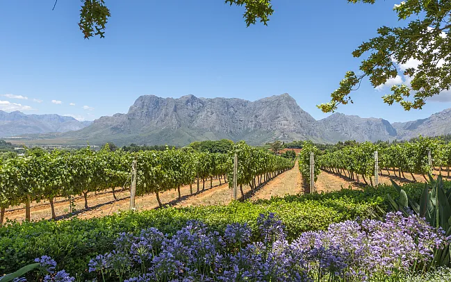 The Magic of South Africa