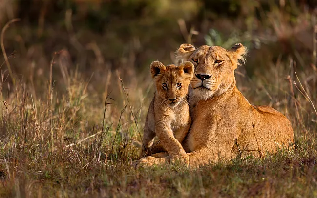 The Magic of South Africa