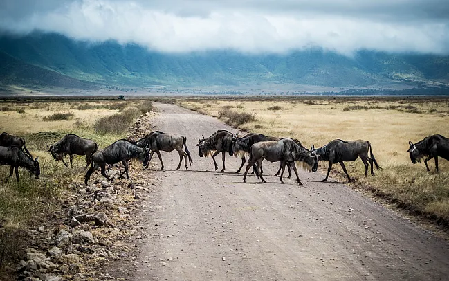 When is the best time to Visit Tanzania