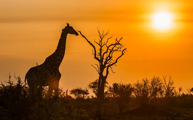 When is the best time to Visit Tanzania