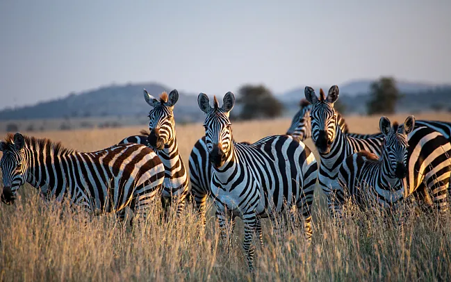 When is the best time to Visit Tanzania