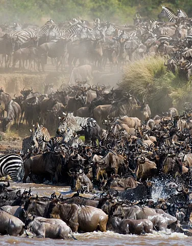 When is the best time to Visit Tanzania