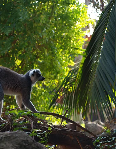 Where to stay in Madagascar