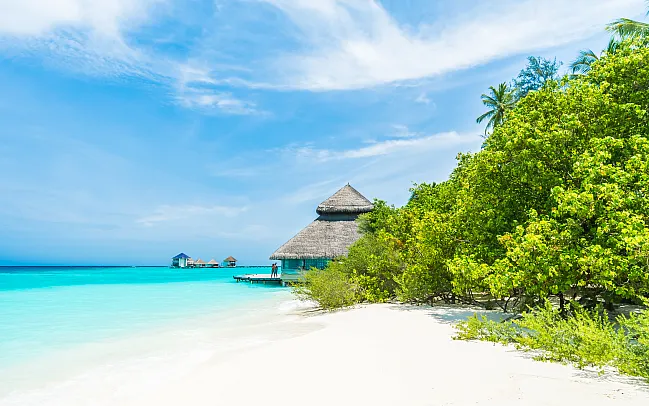 An Insider's Guide to the Best Islands to Visit in the Maldives