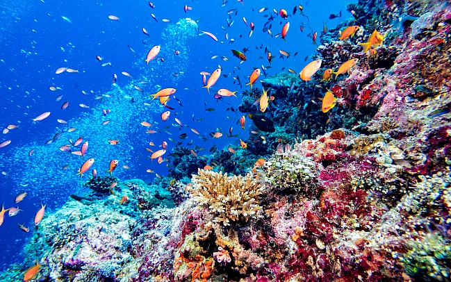 The Ultimate Guide to Exploring Curaçao - A Caribbean Paradise