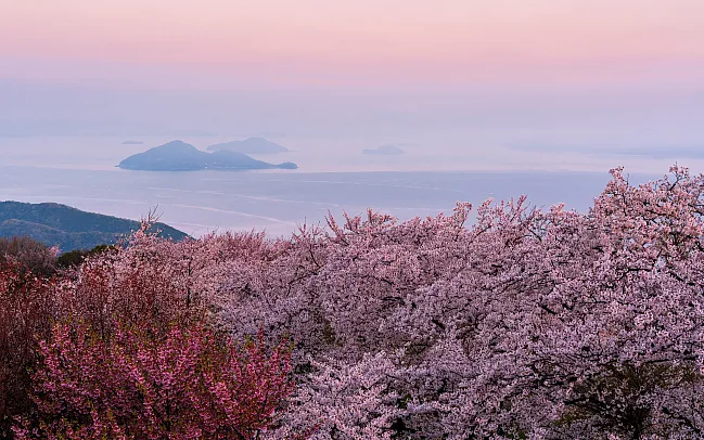 The Ultimate Japan Bucket List - 10 Top Picks