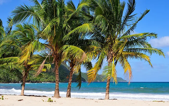 Unveiling the Beauty of the Dominican Republic