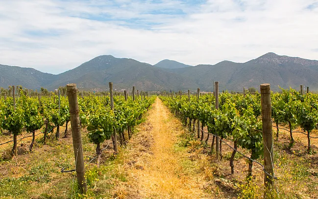 Argentina - Our Guide to the Country's Best Wine Regions