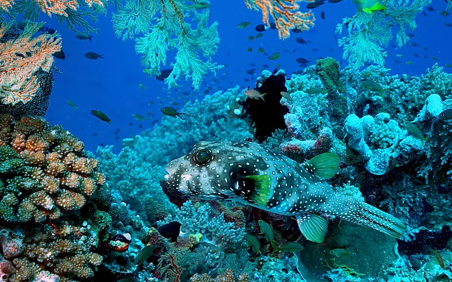 Exploring the Wonders of the Philippines - A Guide to Its Top Attractions