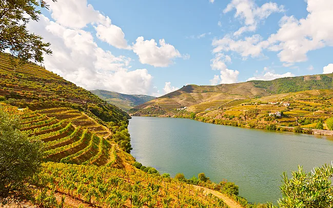 Exploring Portugal's Wine Regions
