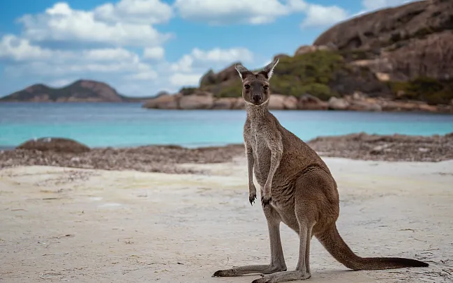 Top 10 Must-Visit Places in Australia for First-Time Travelers