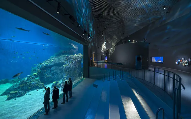 Our Guide to Denmark - Exploring the Best Attractions and Activities for Kids