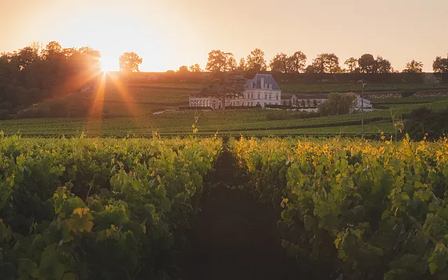 Our Guide to the Wine Regions of France