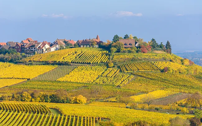Our Guide to the Wine Regions of France