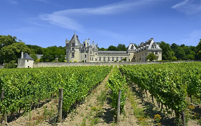 Our Guide to the Wine Regions of France