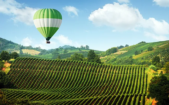 Top wineries in New Zealand