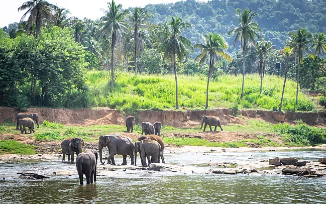 A guide to Sri Lanka's national parks and wildlife reserves