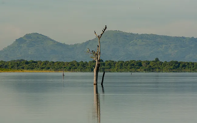 A guide to Sri Lanka's national parks and wildlife reserves
