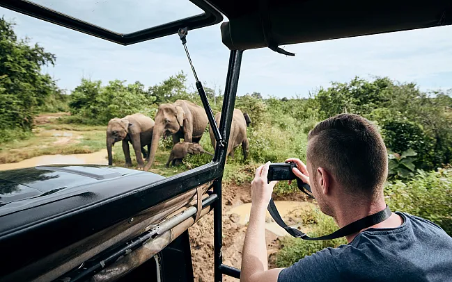 A guide to Sri Lanka's national parks and wildlife reserves