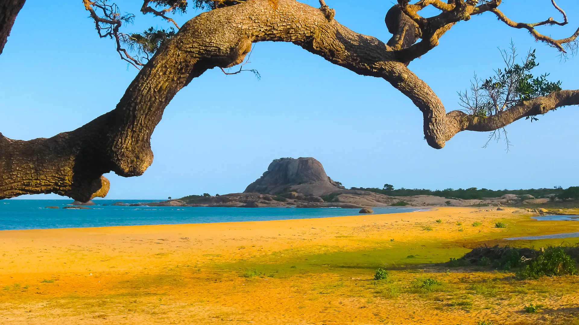 A guide to sri lanka's national parks and wildlife reserves