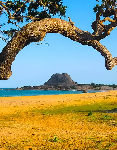 A guide to Sri Lanka's national parks and wildlife reserves