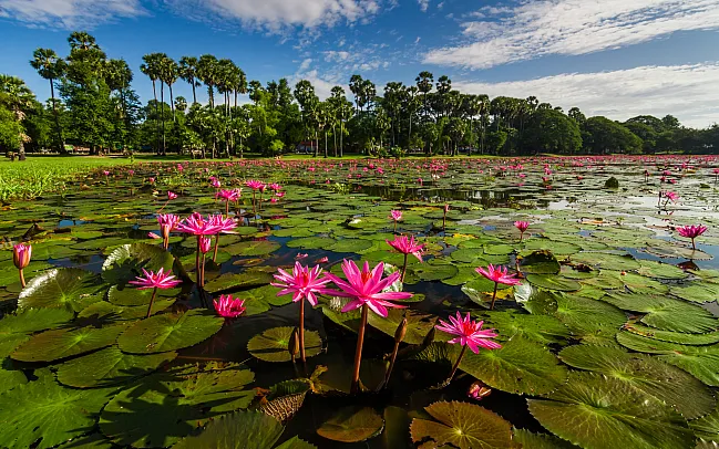 Cambodia FAQs