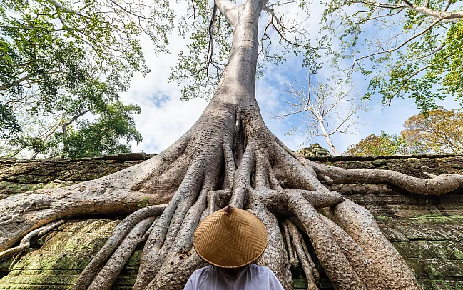 Guide to Cambodia's Angkor Temples