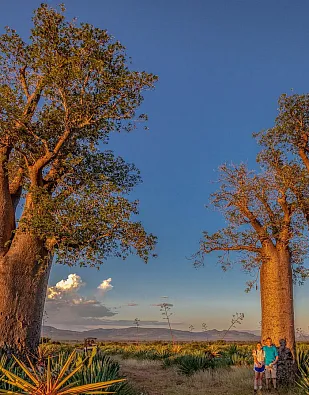 Mandrare River Camp 