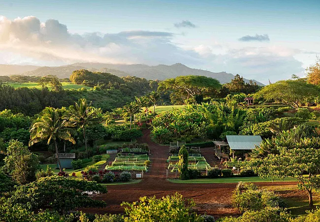 The Lodge at Kukui’ula