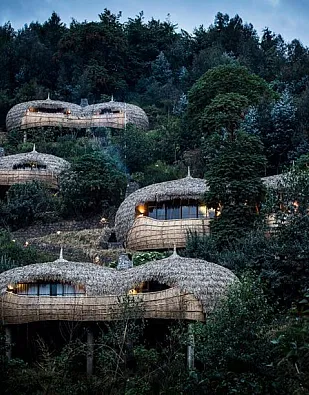 Wilderness Bisate Lodge