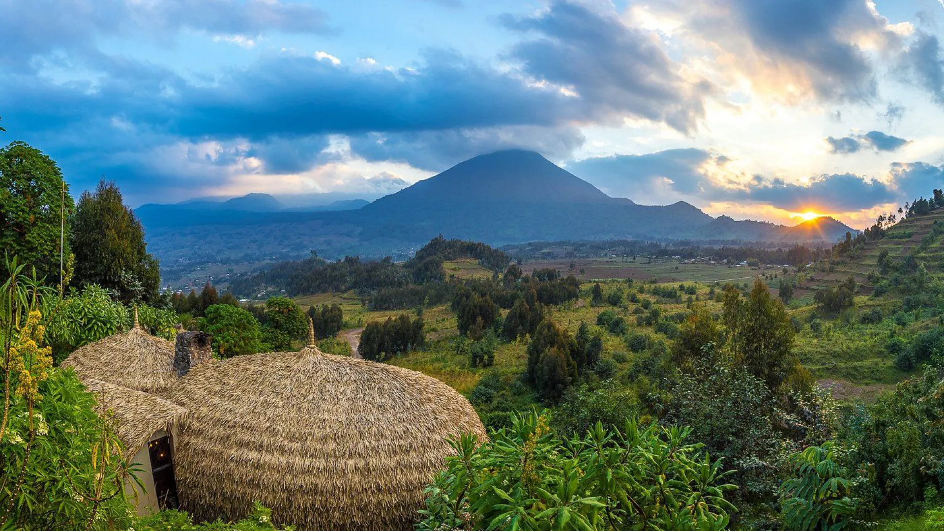 Wilderness bisate lodge
