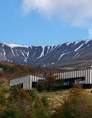 Awasi Patagonia