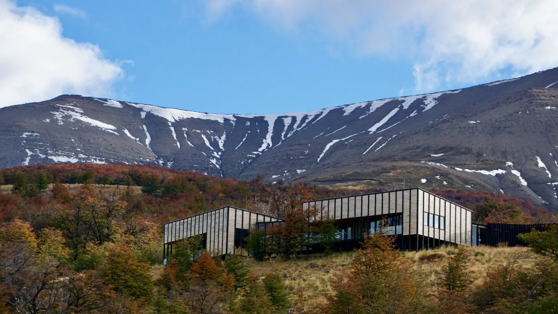 Awasi patagonia