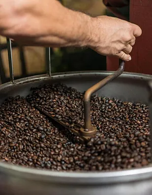 Fin Rosa Blanca Coffee Plantation