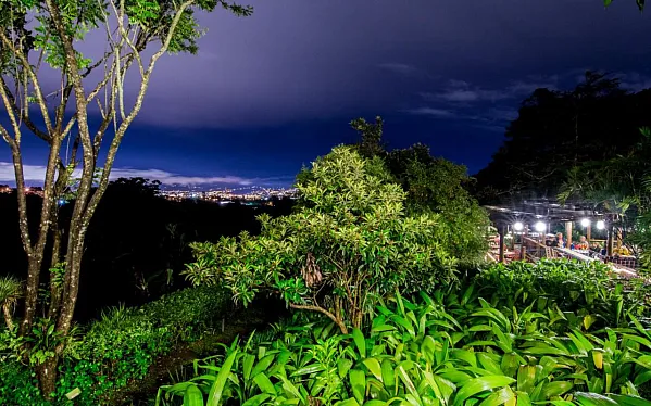 Fin Rosa Blanca Coffee Plantation