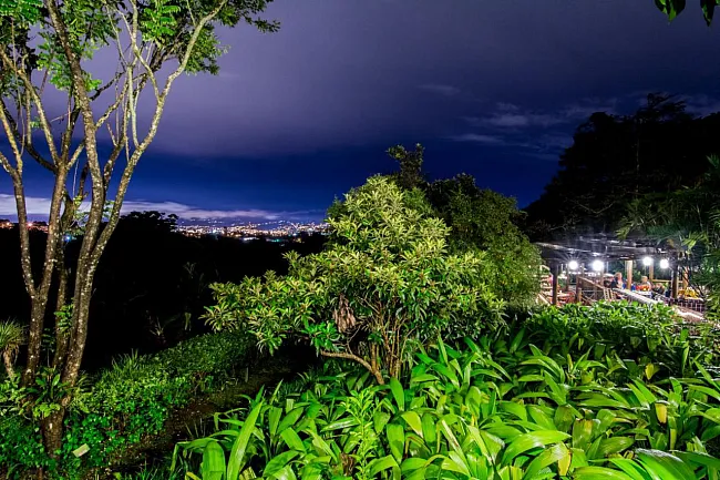 Fin Rosa Blanca Coffee Plantation