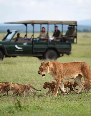 Grumeti Serengeti River Lodge