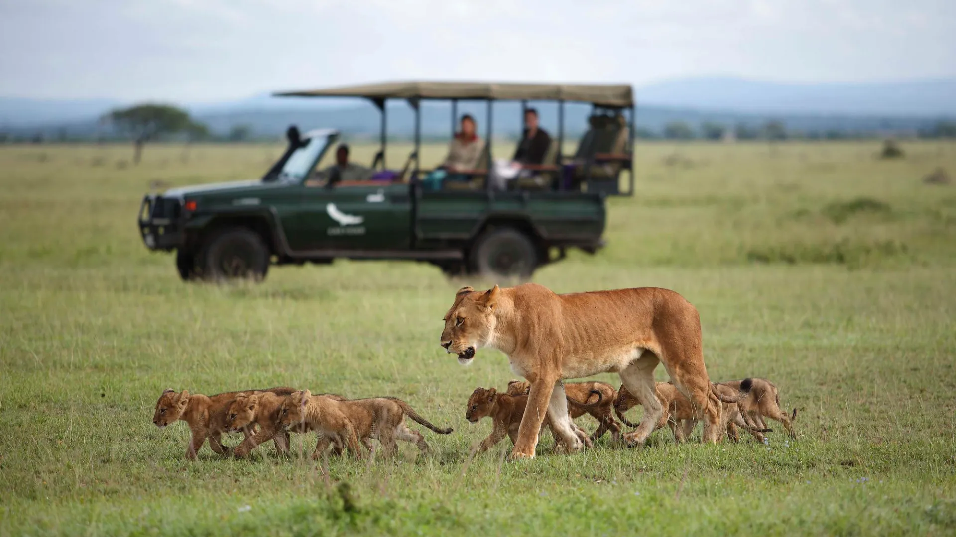 Grumeti serengeti river lodge