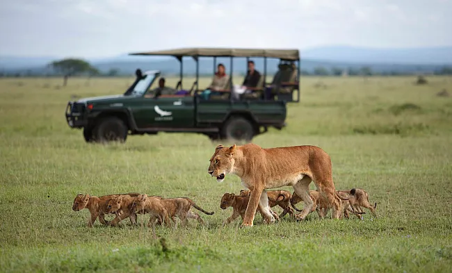 Grumeti Serengeti River Lodge