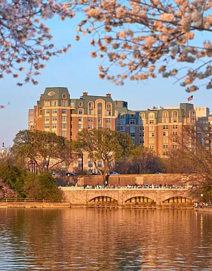 Salamander Washington DC