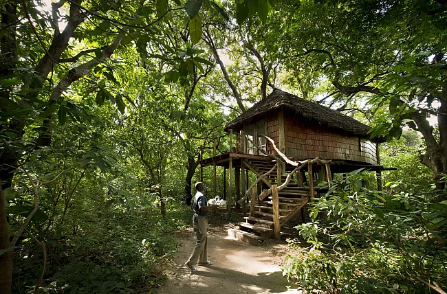 Lake Manyara Tree Lodge