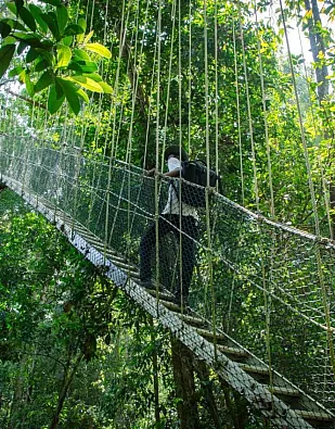 The Mutiara Taman Negara Resort