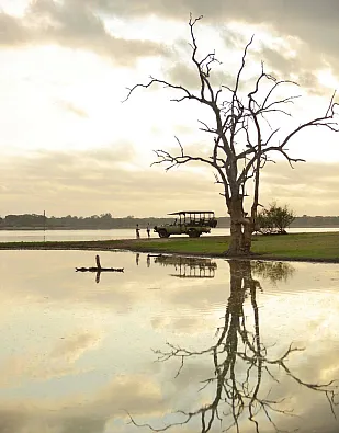 Roho ya Selous Game Reserve