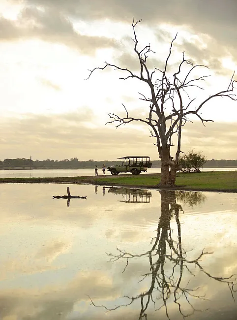 Roho ya Selous Game Reserve