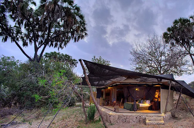 Roho ya Selous Game Reserve